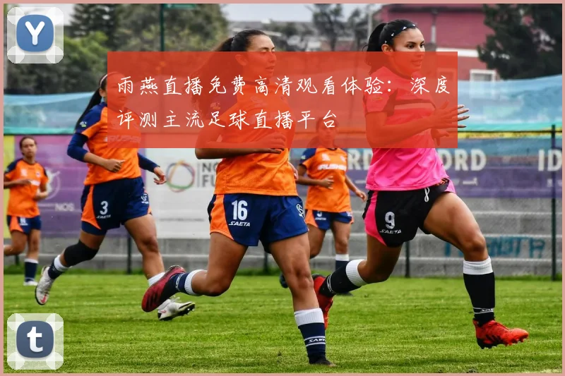 雨燕直播免费高清观看体验：深度评测主流足球直播平台
