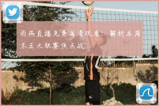 雨燕直播免费高清观看：解析本周末五大联赛焦点战